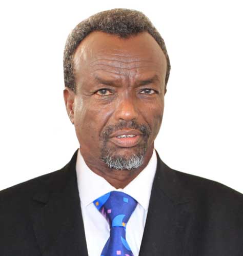 Hassan M Hassan
