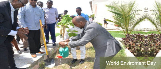 World Environment Day